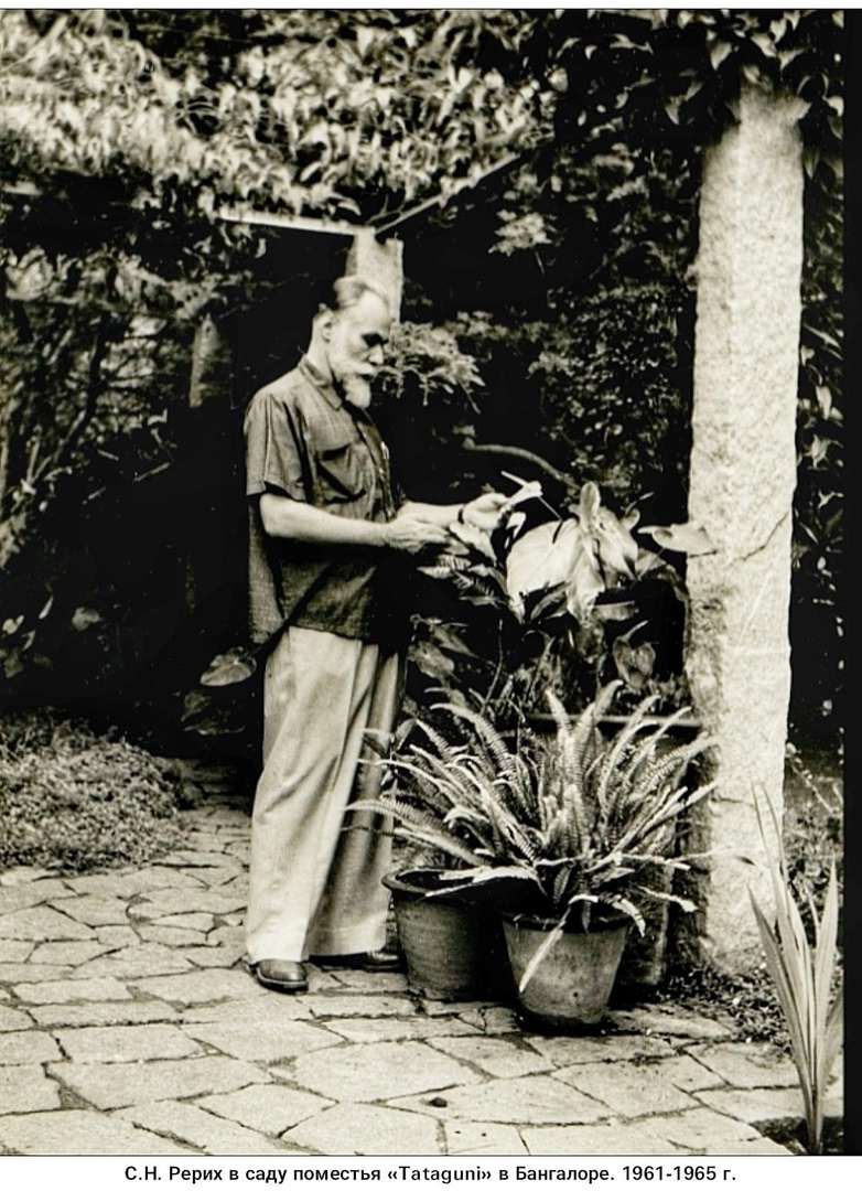 С.Н. Рерих в саду поместья Татагуни.jpg